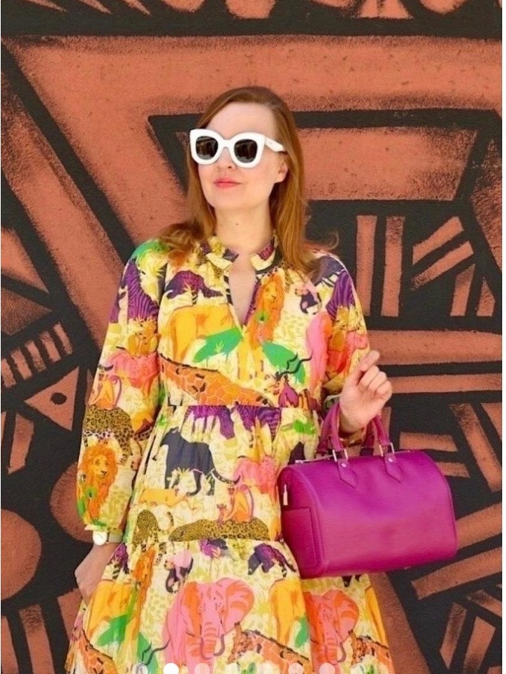 JCREW Women's Safari Dress